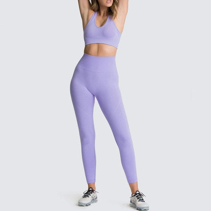Seamless Gym Set Nylon Woman Sportswear 2 Pieces Exercise Leggings
