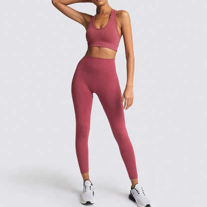 Seamless Gym Set Nylon Woman Sportswear 2 Pieces Exercise Leggings